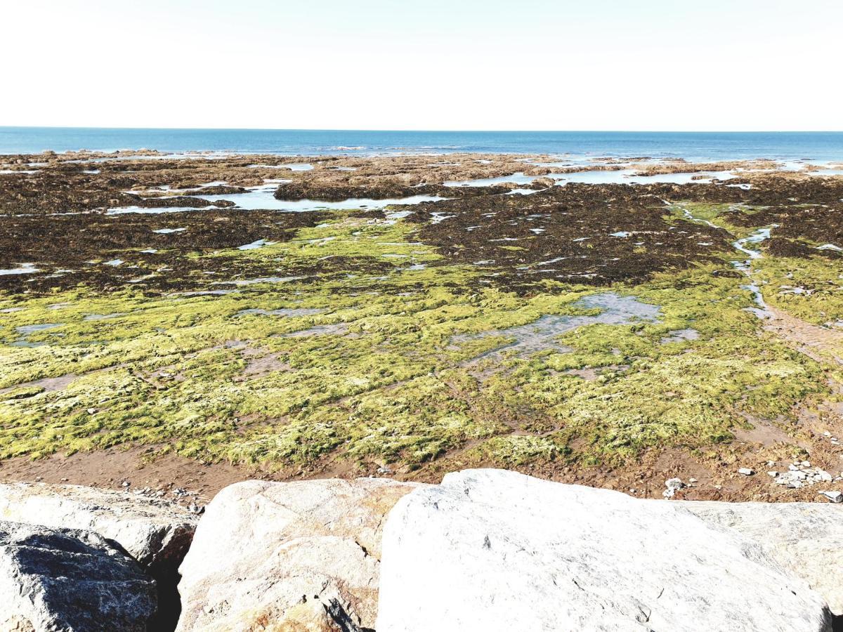 Le Temps D'Une Pause Brétignolles-sur-Mer Exteriör bild